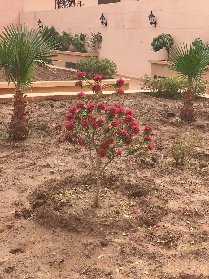 Appartement Elias Marrakech Маракеш Екстериор снимка